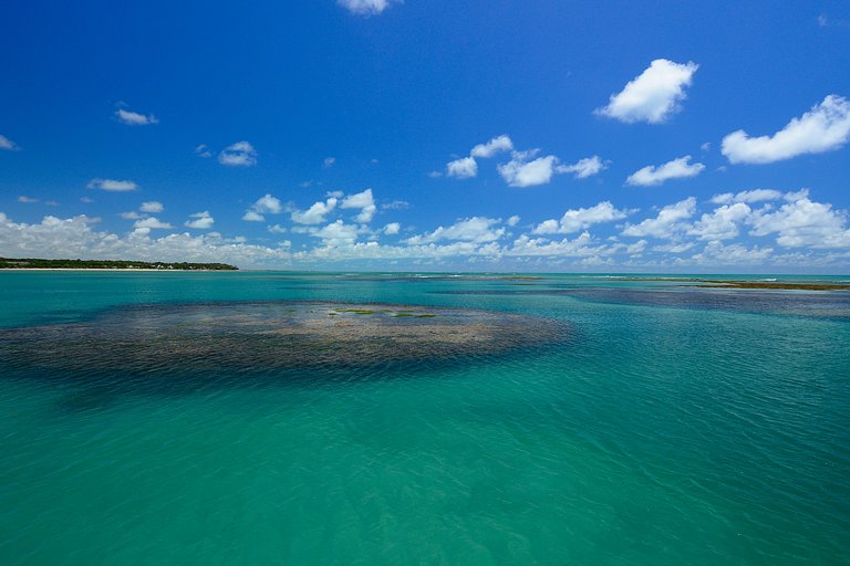 Flat FM20 Cabo Branco Waves - By Almare